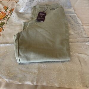 Gloria Vanderbilt Men's Chinos - Light Green